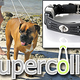 Illustration for article titled A Supercollar For Super Strong Pups